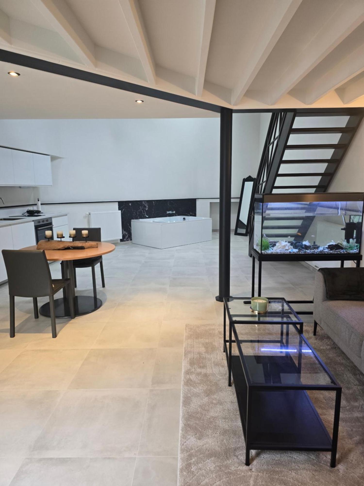 Aqua Loft - European Quarter Apartment Brussels